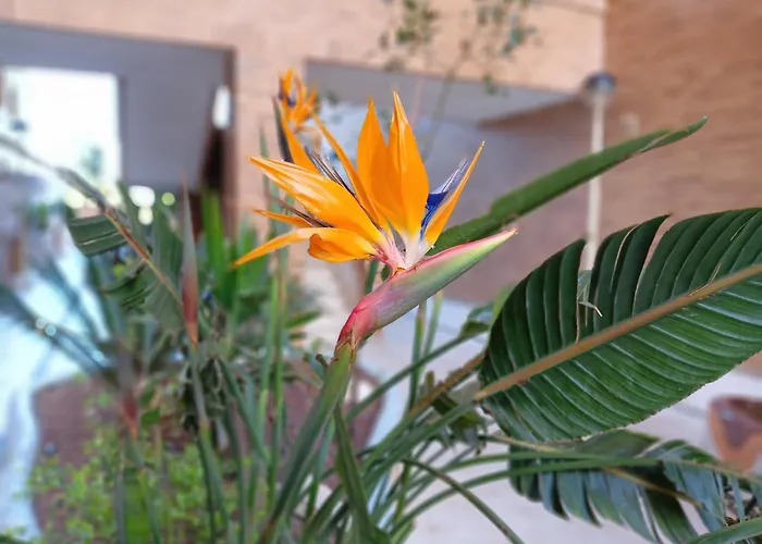 Luz De Torremar Lejlighed Oropesa del Mar