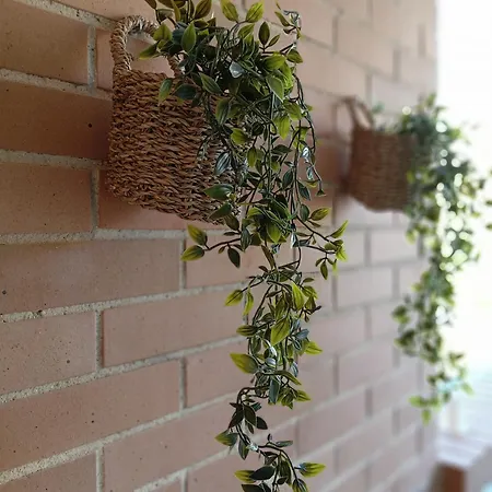 Luz De Torremar Apartment *