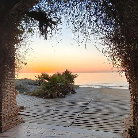 Luz De Torremar *